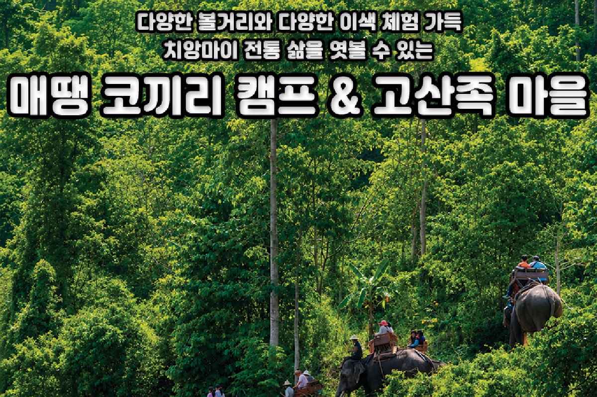 [치앙마이] 매땡 코끼리 캠프 고산족마을 투어 (시내 호텔 픽업 드랍 영어가이드)