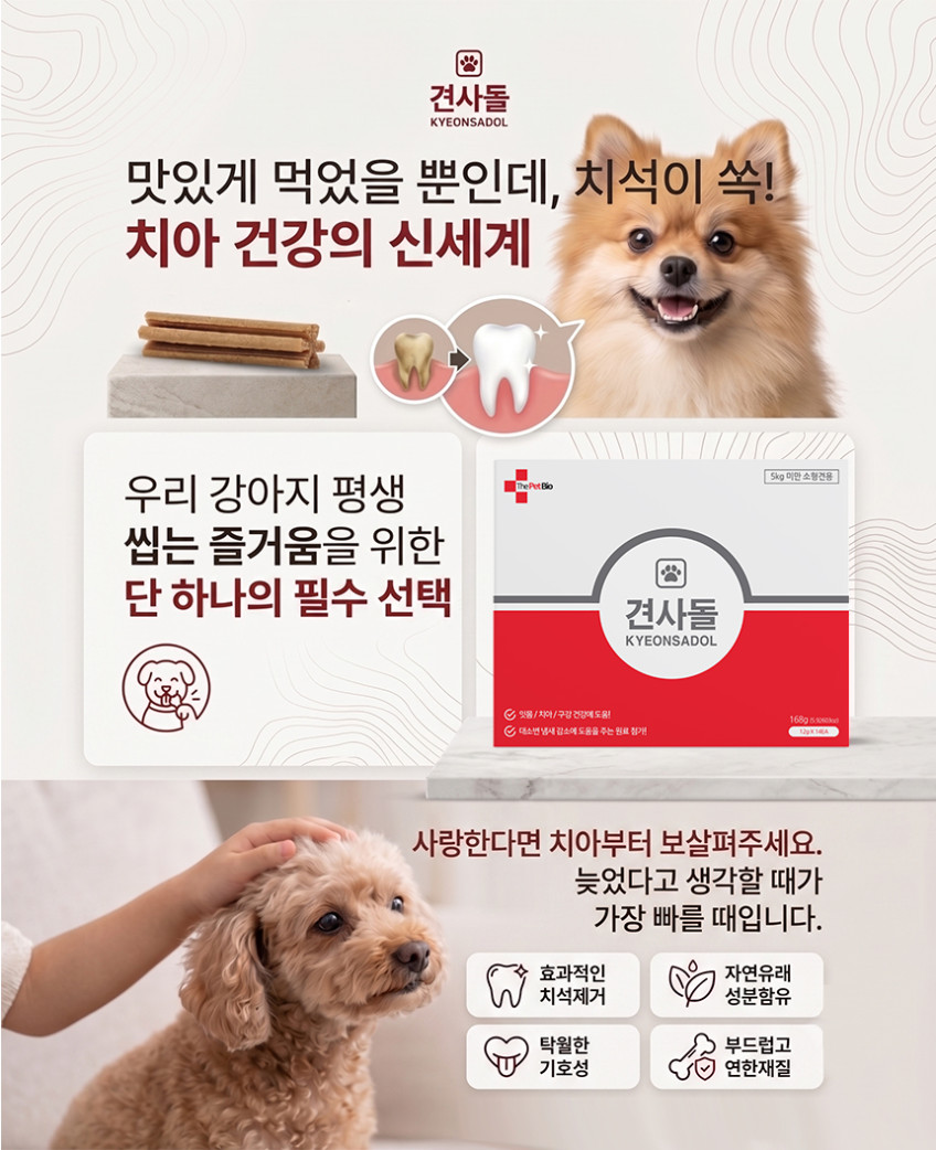 견사돌 강아지 영양제 스틱 덴탈껌 간식 치석제거 면역 60개입 대용량 1박스 판매처 상세 정보 이미지 3