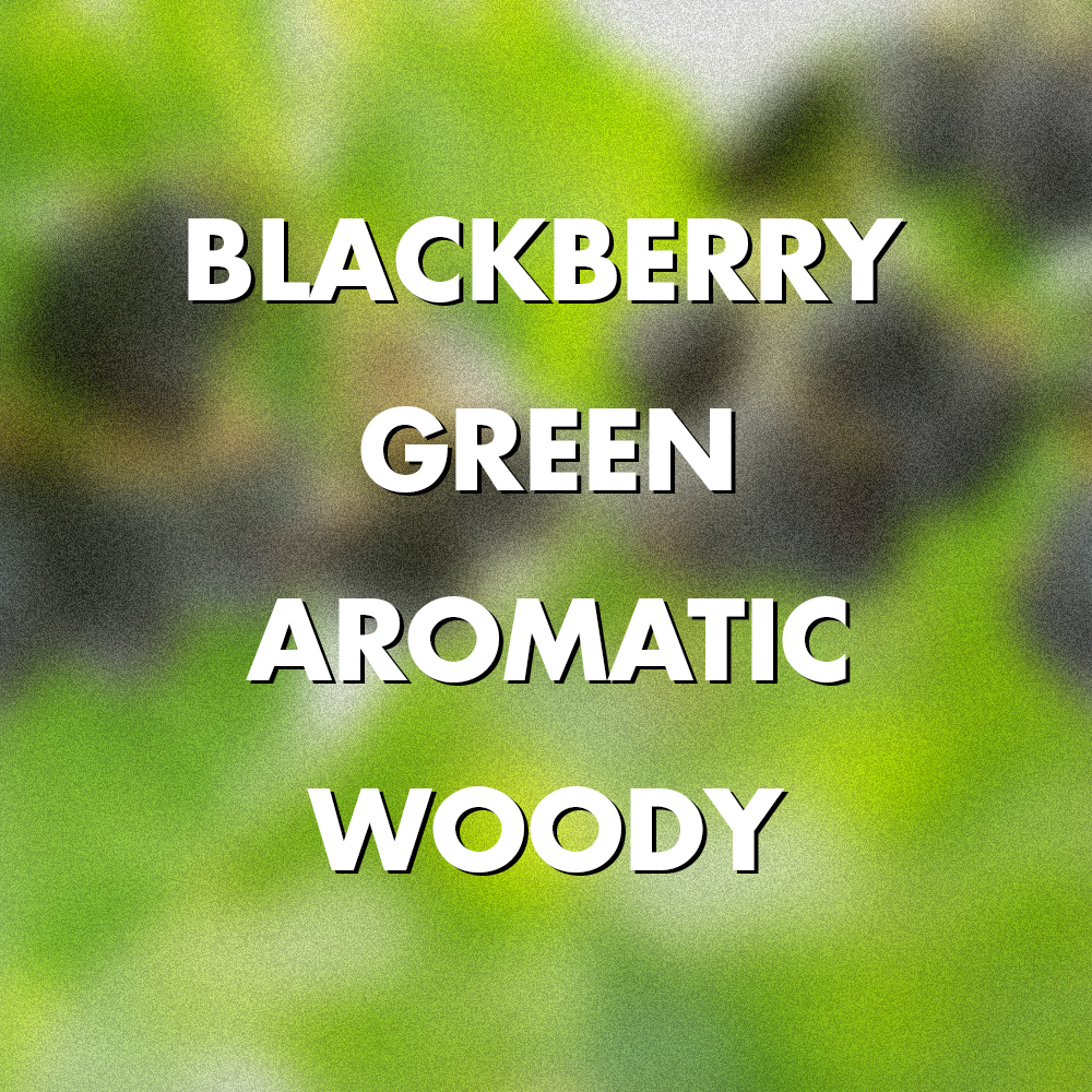 블랙베리 포레스트 50ml 퍼퓸 인텐스 니치향수 001 BLACKBERRY FOREST (블랙베리 앤 베이) - 상세 이미지 2