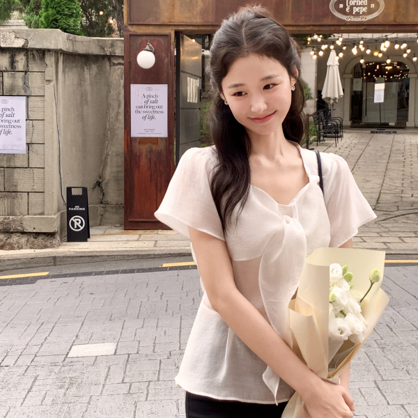 (국내제작) 타이 페플럼 반팔 블라우스 bs8850 - 상품 이미지