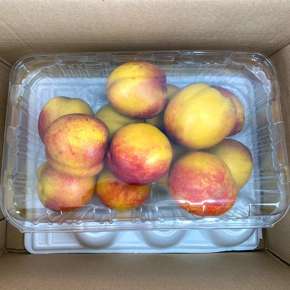 산지직송 천도 망고 복숭아 옐로드림 3kg, 1개 - 상세 이미지 5
