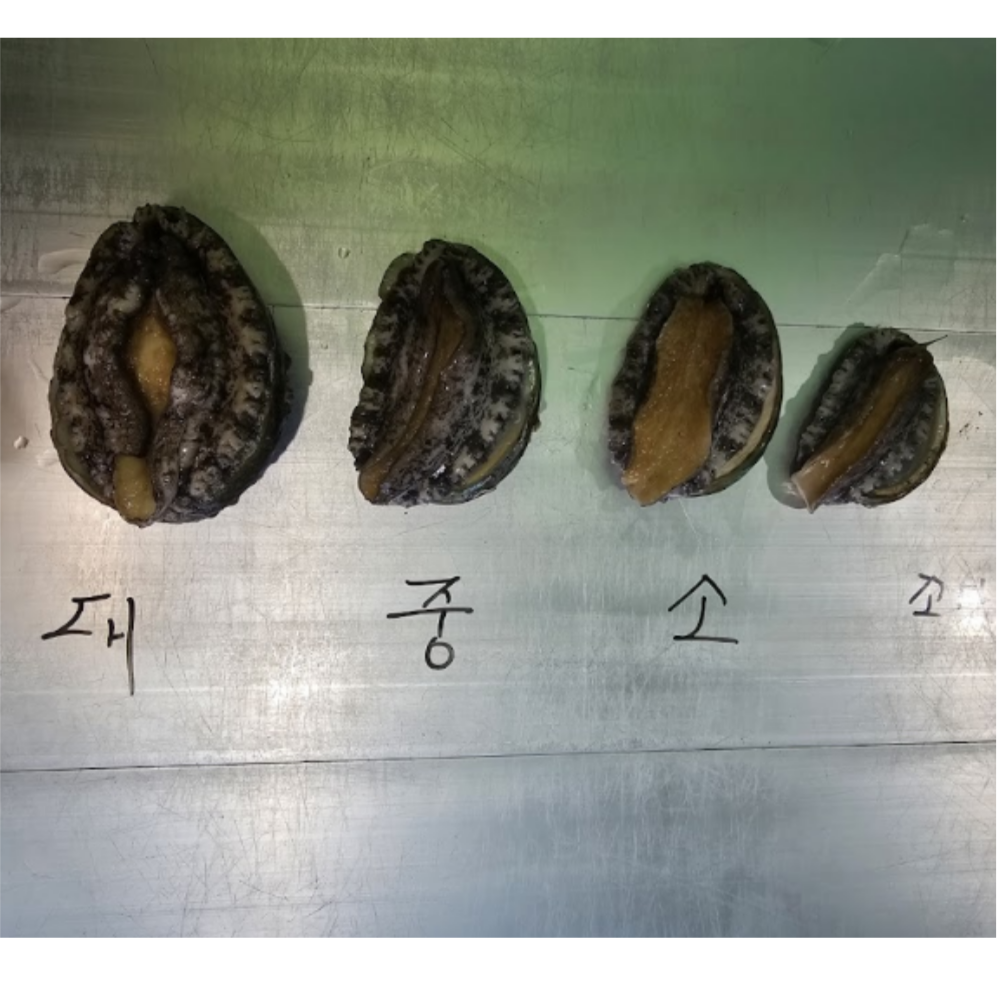완도산 활 전복 신선하게 산지직송 중, 1kg, 1개 - 상세 이미지 2
