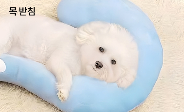 반려동물 물음표 펫필로우 강아지 고양이 목받침 쿠션 애견 베개 침대 편안한 숙면 - 상세 이미지 4