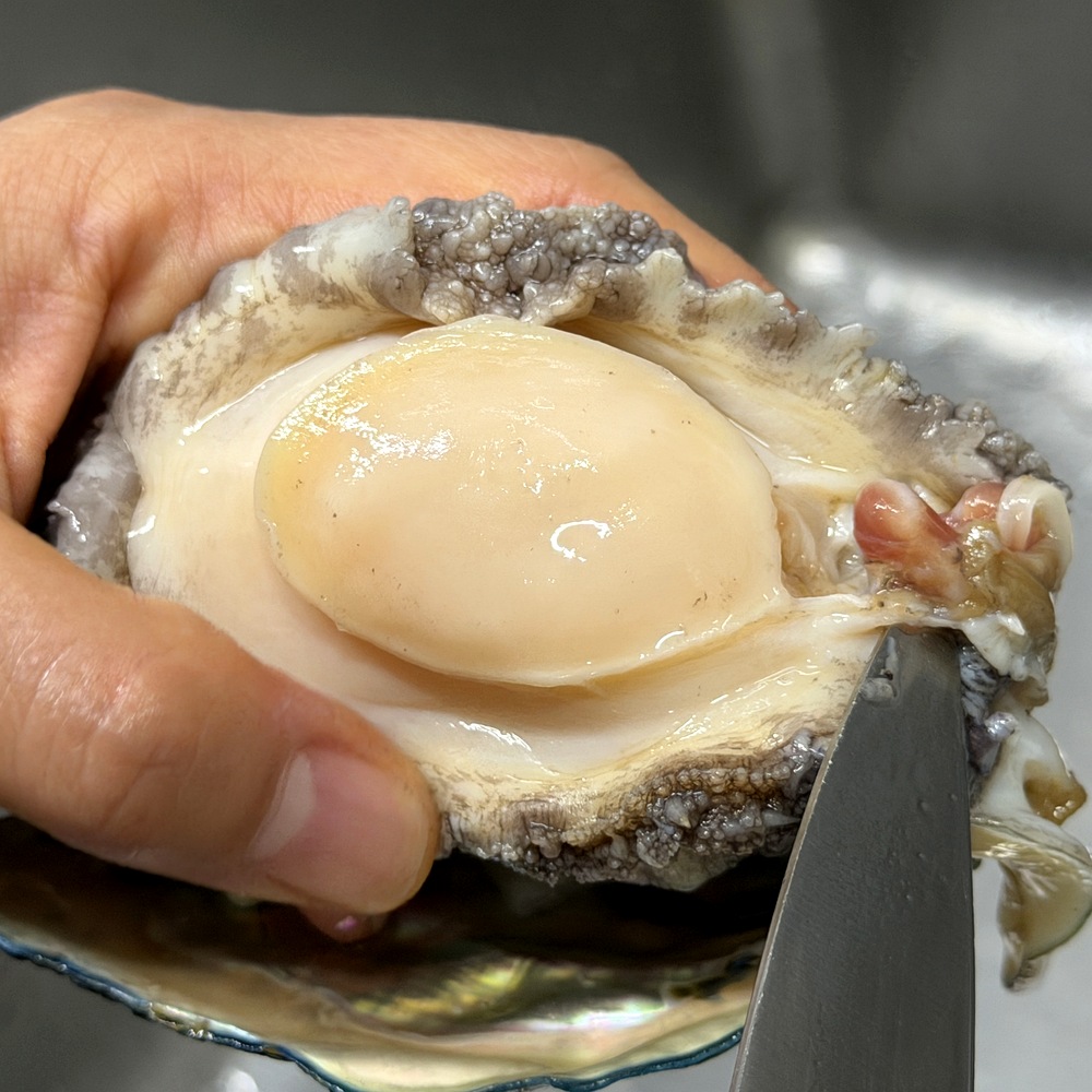 완도직송 활전복 1Kg 특대 꼬마 미니 산소포장 선물세트 손질 칼 산지직송 이력추적 이미지 7
