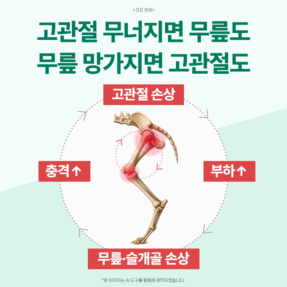 닥터바이 강아지 관절 영양제 슬개골 탈구 무릎 고관절 케어 절뚝거림 힙앤조인트스위프트, 120캡슐, 1개 상품 이미지