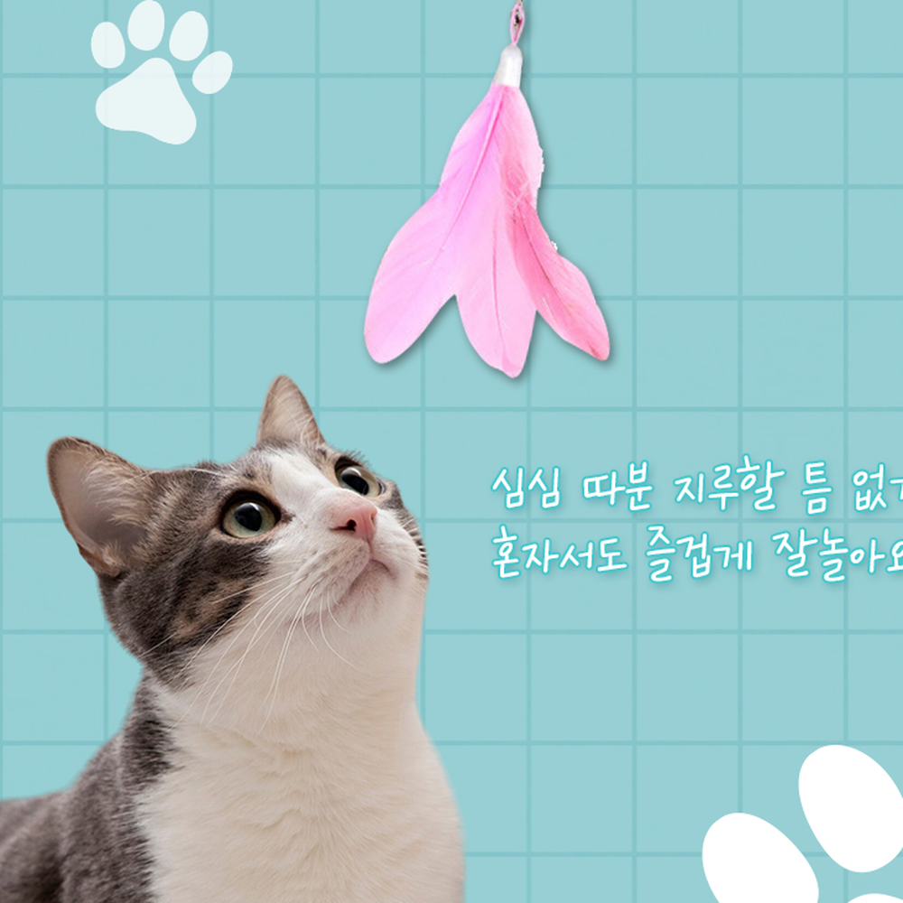 유연와이어스트레스해소반려묘놀이 흡착식고양이낚시대 심심해결깃털장난감고양이장난감 - 상세 이미지 5