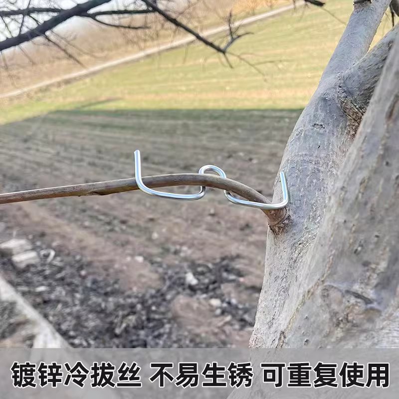텐서 m형 클립 고정 지지대 과일나무 모양잡기 - 상세 이미지 4