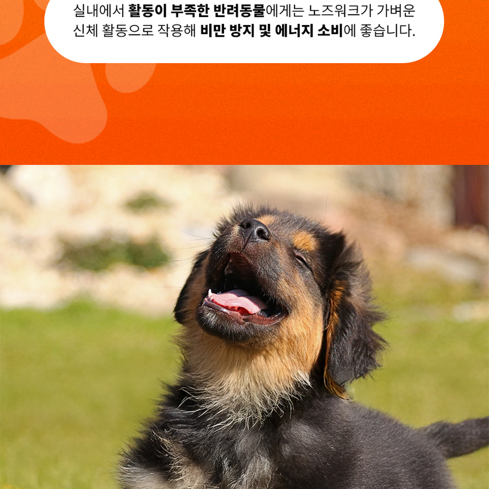 활동량증가반려견용노즈워크매트 스트레스해소반려묘용잔디매트 분리불안완화실내용 - 상세 이미지 4