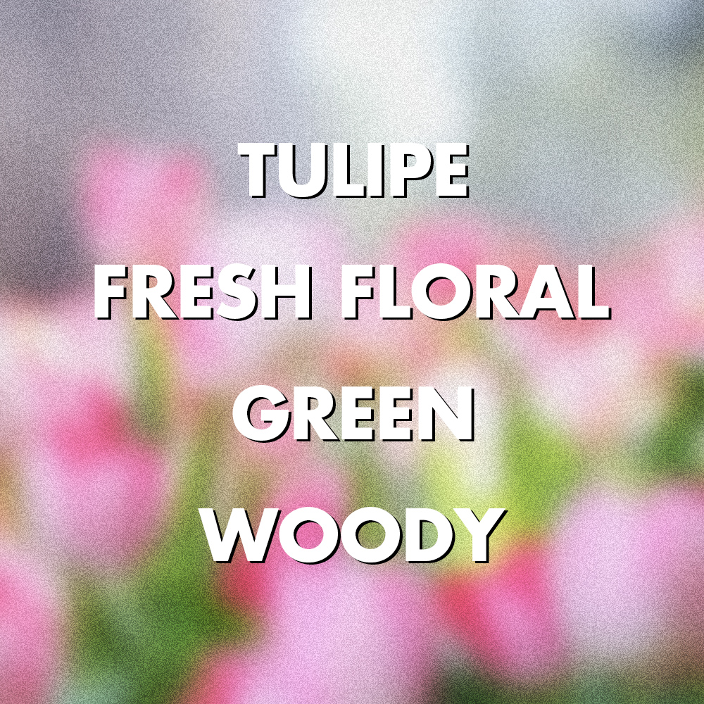 자르뎅 튤립 50ml 퍼퓸 인텐스 니치향수 023 JARDIN TULIPE (라튤립) - 상세 이미지 2