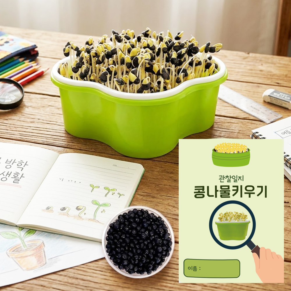 초간단 콩나물 키우기 키트 수경재배 관찰일지 자연학습 방학 생태교구 - 상품 이미지