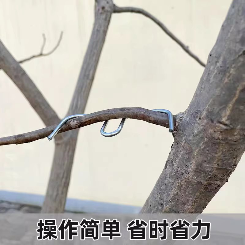 텐서 m형 클립 고정 지지대 과일나무 모양잡기 - 상세 이미지 5