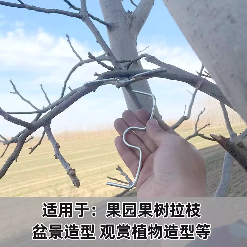 텐서 m형 클립 고정 지지대 과일나무 모양잡기 - 상세 이미지 3
