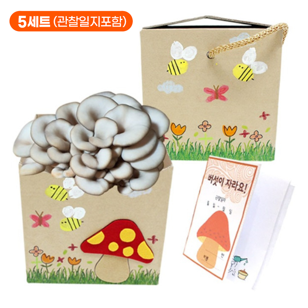 느타리버섯 키우기 키트 자연생태학습 방과후교구 친환경 반려식물 DIY세트 (5개입) - 상세 이미지 2