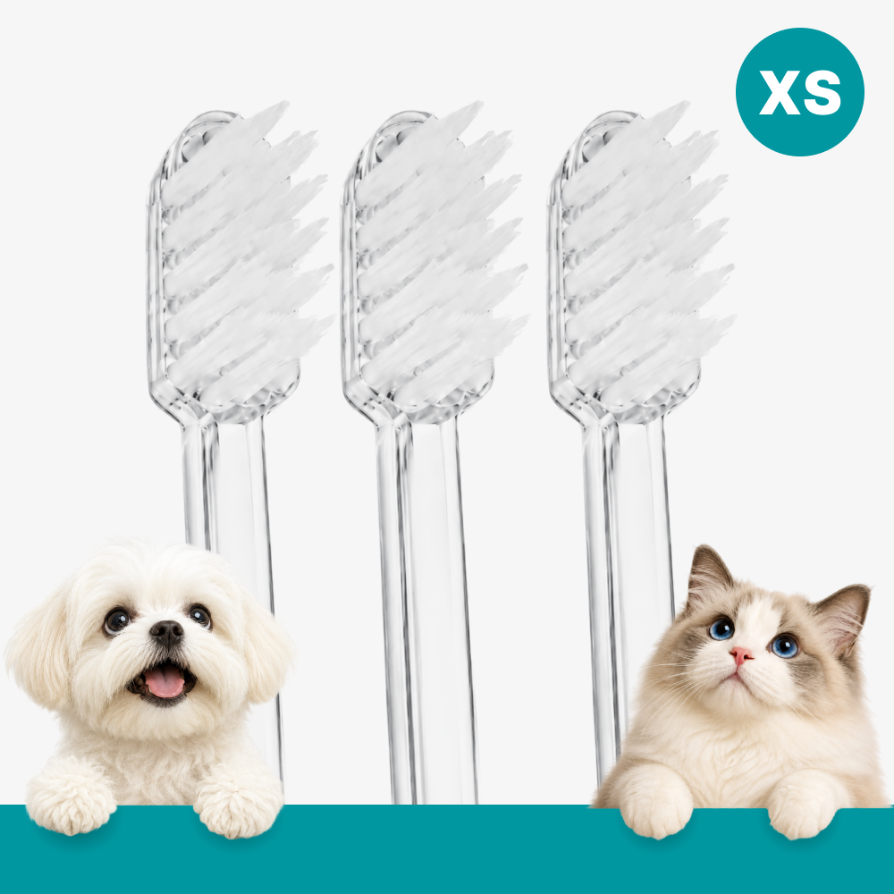 [극초소형] 메이브러쉬 강아지 칫솔 애견 소형견 양치 펫칫솔 1분컷 저자극 XS, 3개 - 상품 이미지