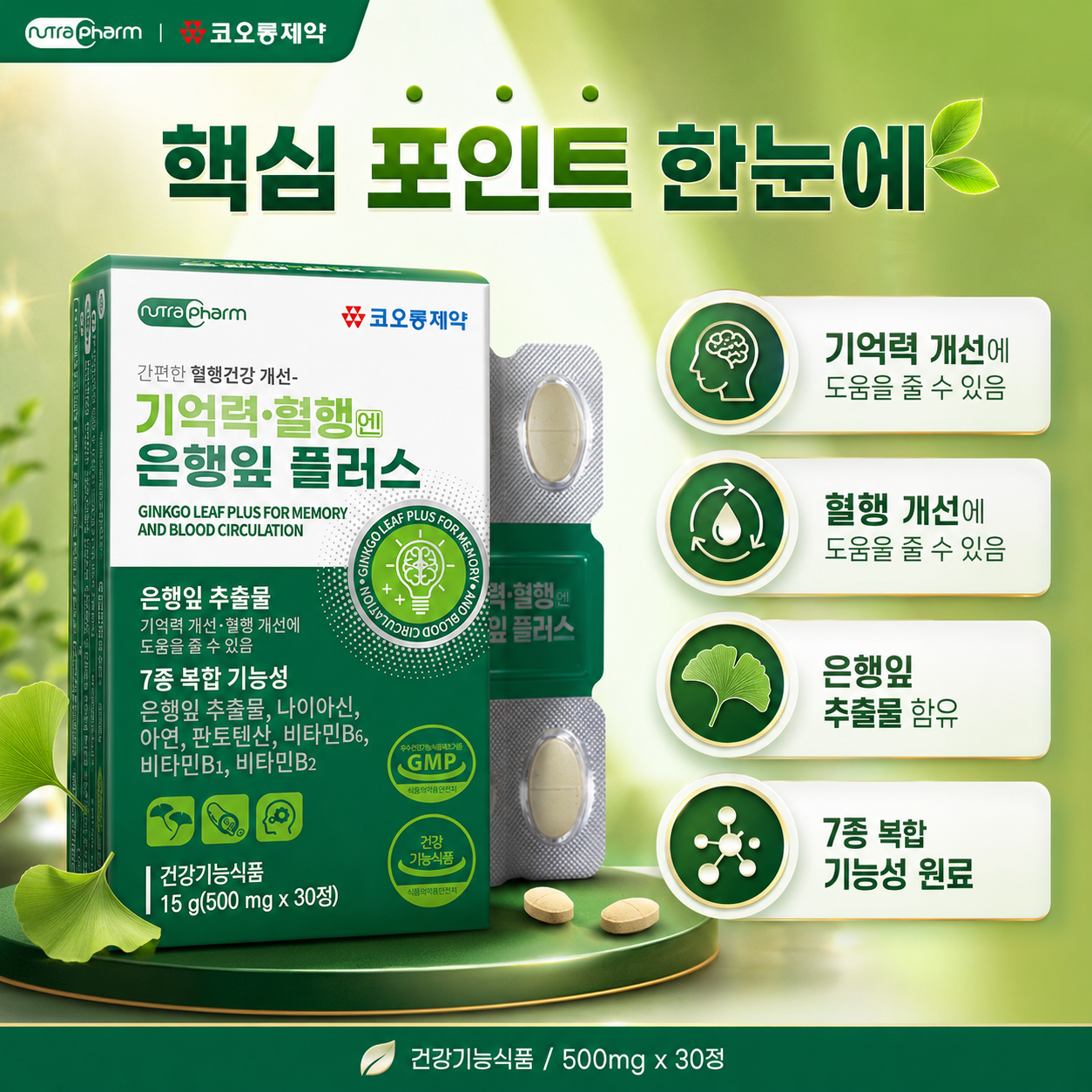 코오롱제약 기억력 혈행엔 은행잎 플러스 은행잎추출물 500mg 2박스 - 상세 이미지 3