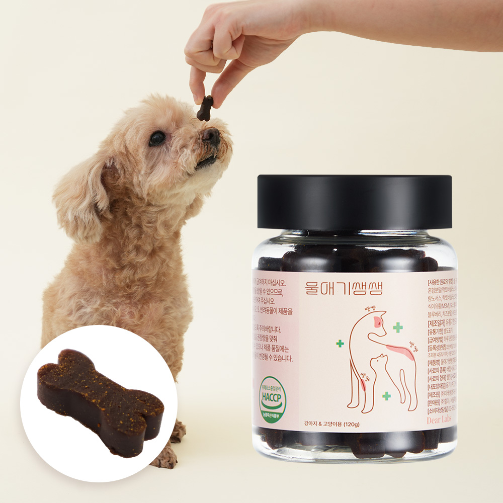 울애기쌩쌩 디어랩스 강아지 종합영양제 눈 피부 관절 면역 장 120g, 1개 - 상품 이미지