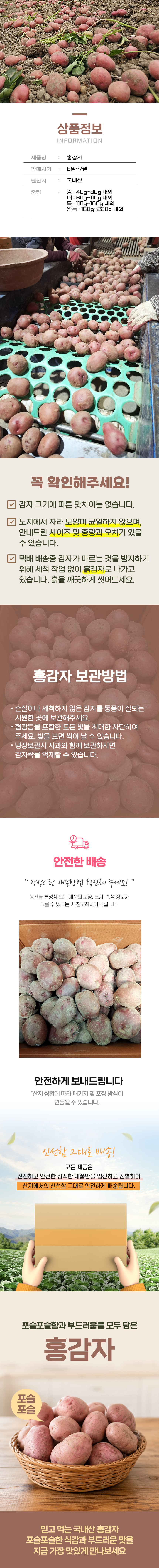 홍감자-셀러ver-2.png