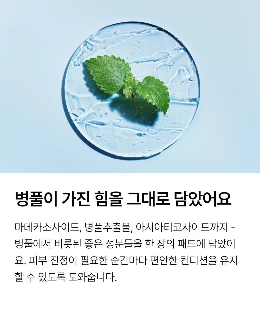 와이즐리 병풀 추출 마데카소사이드 흔적 패드 100매, 3개 - 상세 이미지 4