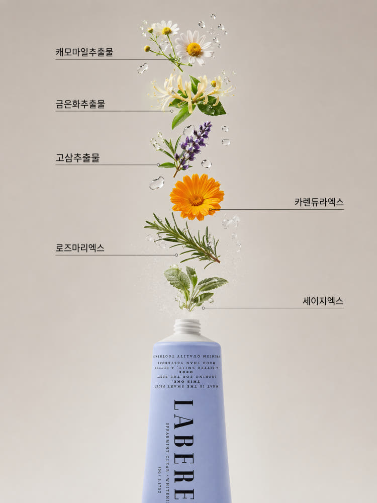 프리미엄 미백 치약 누렁니 구취제거 유기농 천연 90g, 2개 상세 이미지 5