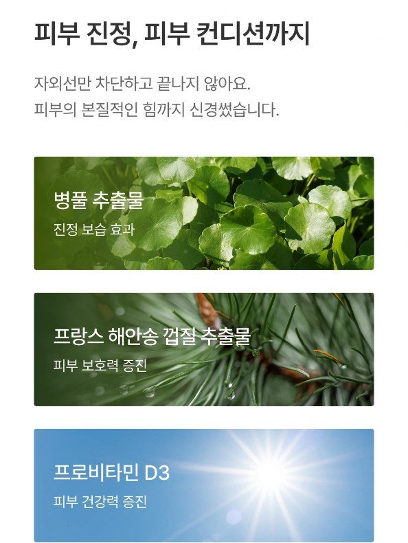 와이즐리 소프트 마일드 선크림 50ml, 2개 이미지 8