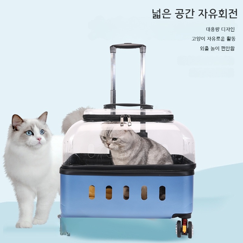 고양이 이동장 투명 강아지 캐리어 휴대용 여행 블랙 - 상품 이미지