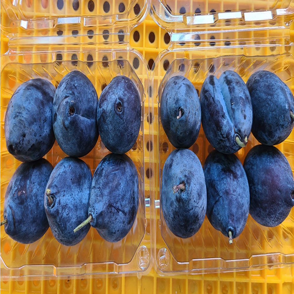 [금서율네] 서양자두 생 푸룬 임산부 자두 보라색 프룬 생과 500g 1kg 2kg - 상품 이미지
