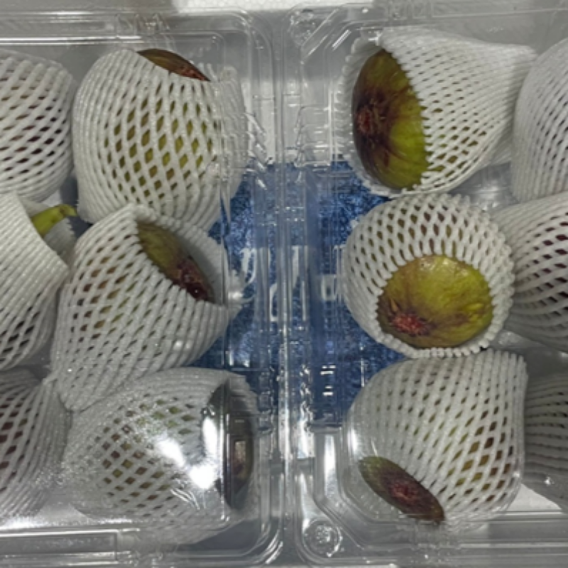 자연가득 전남 영암 해남 홍무화과 500g 5-8과내외 - 상세 이미지 3
