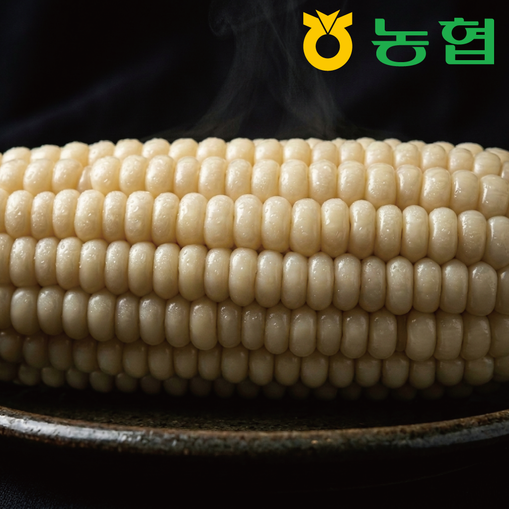자연가득 씹을수록 고소하고 쫀득한 농협 괴산 대학 찰옥수수 - 상세 이미지 3