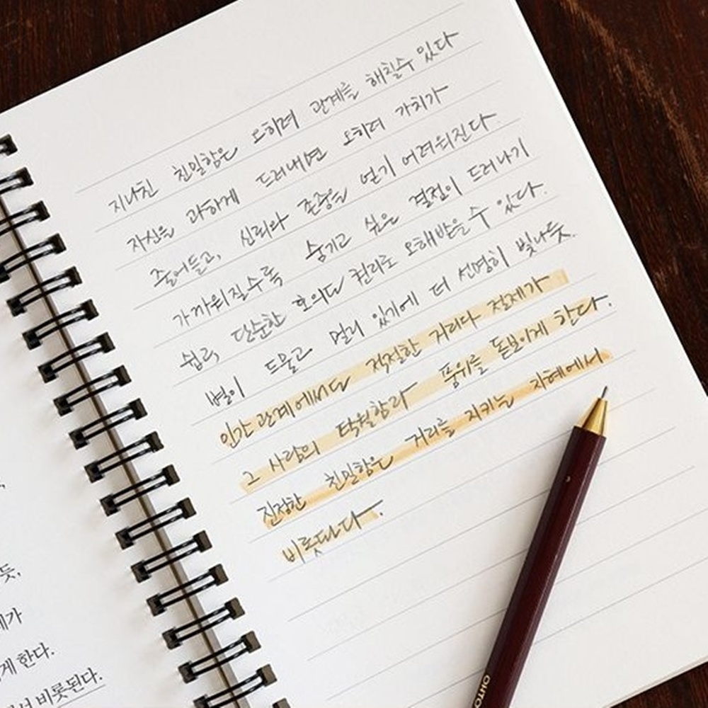 지혜의 기술 필사 노트 문장 필사하기 좋은 책 손 글씨 연습 교정 이미지 7