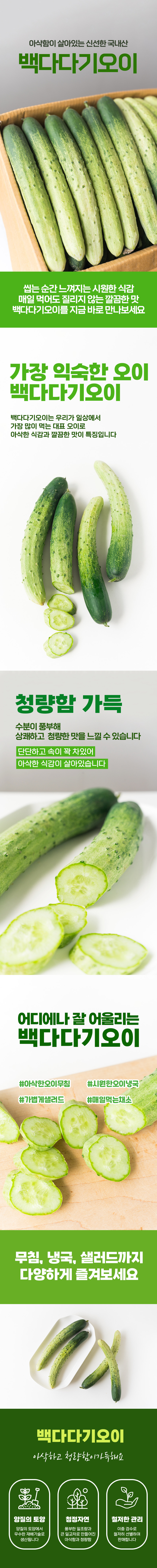 백다다기오이-셀러ver-1.png