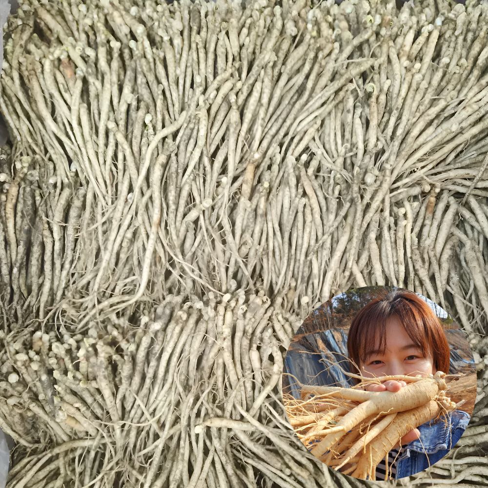 삼계탕인삼 갈비탕 업소용 실실이 실삼계 인삼 수삼 한채 750g - 상품 이미지