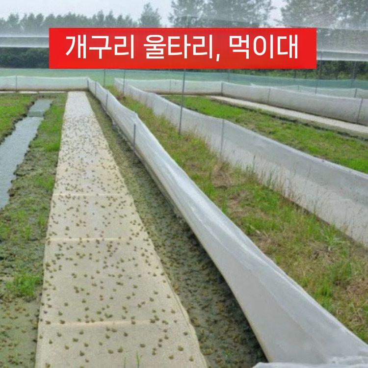 비닐하우스 방충망 모기장 비닐 농업용 벌레망 해충차단 1m 40 메쉬 100m - 상세 이미지 5