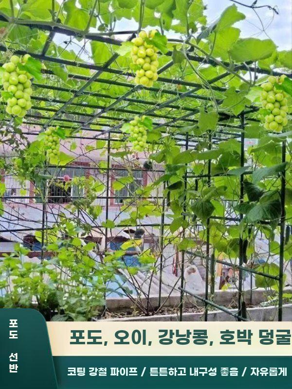 식물 지주대 지지대 파이프 오이 가든 넝쿨 철제 덩굴 0.9mx0.9mx0.9m 플라스틱 코팅 강관 - 상세 이미지 2