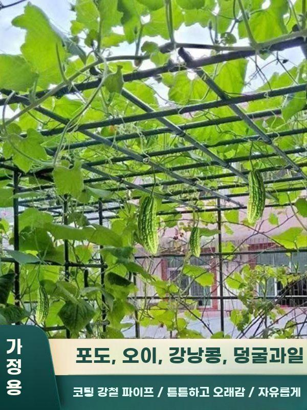 식물 지주대 지지대 파이프 오이 가든 넝쿨 철제 덩굴 0.9mx0.9mx0.9m 플라스틱 코팅 강관 - 상세 이미지 3