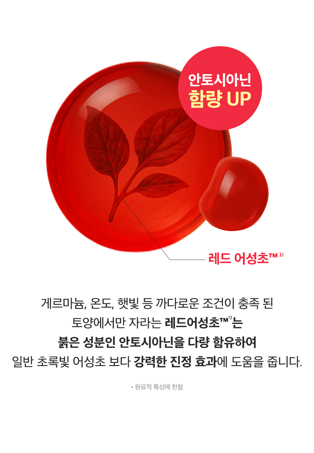 sungboon editor red houttuynia sheet mask