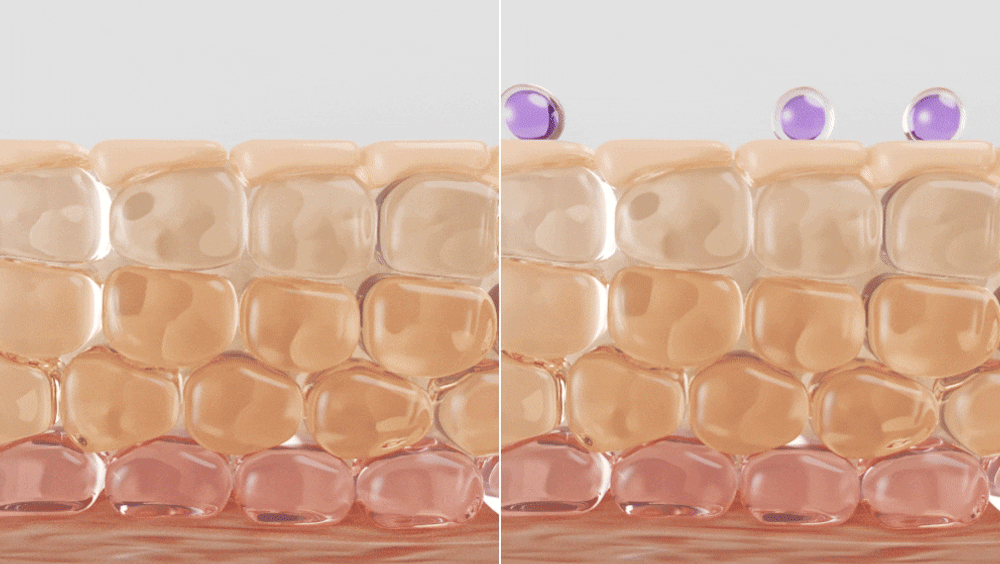 sungboon editor wild grape concentrated ampoule