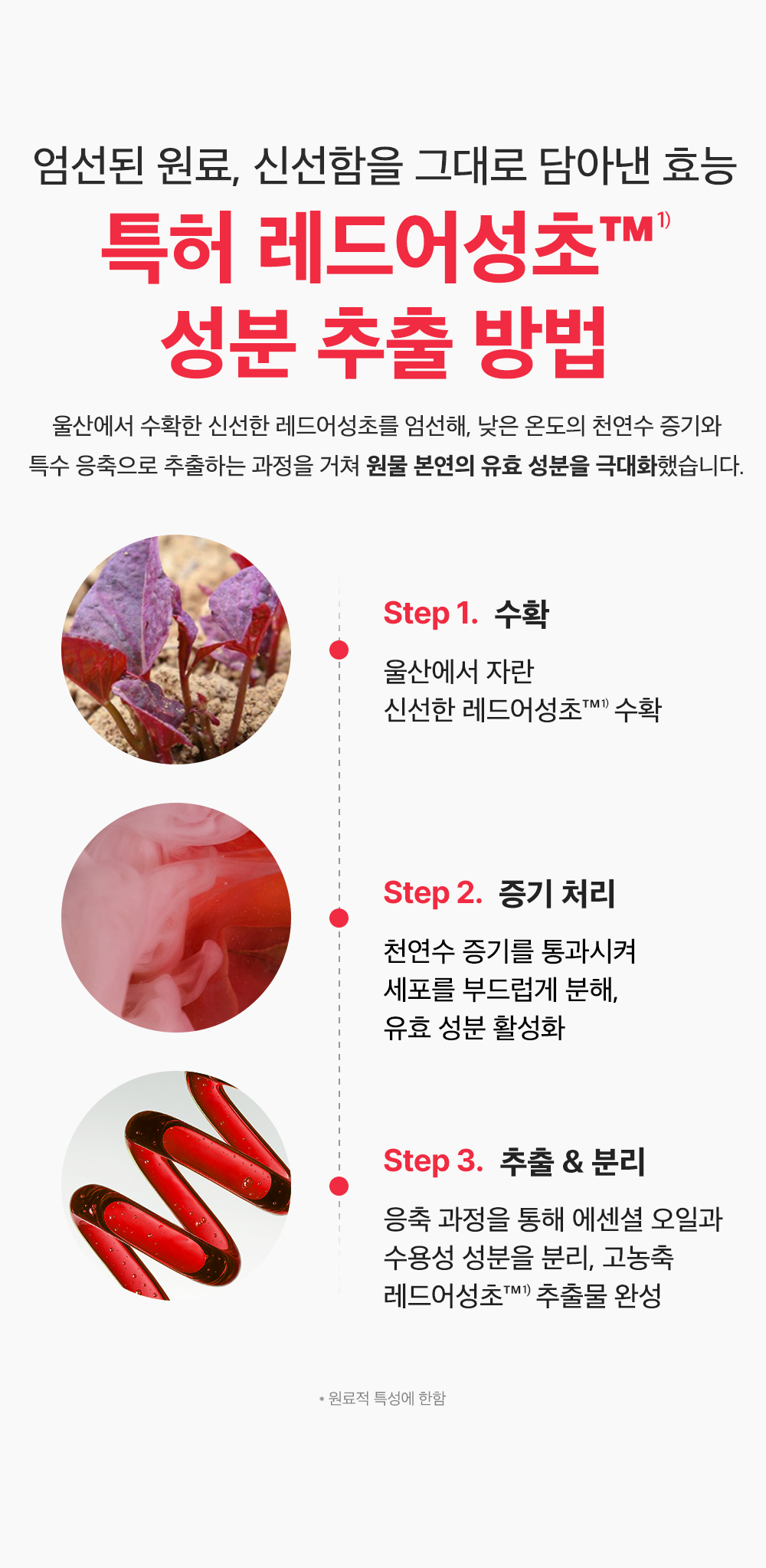 sungboon editor red houttuynia sheet mask