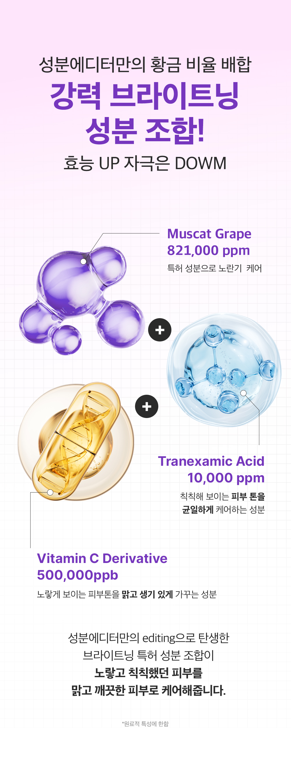 sungboon editor wild grape concentrated ampoule