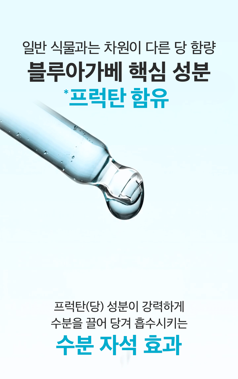 ampoule concentrée agave bleu coréen