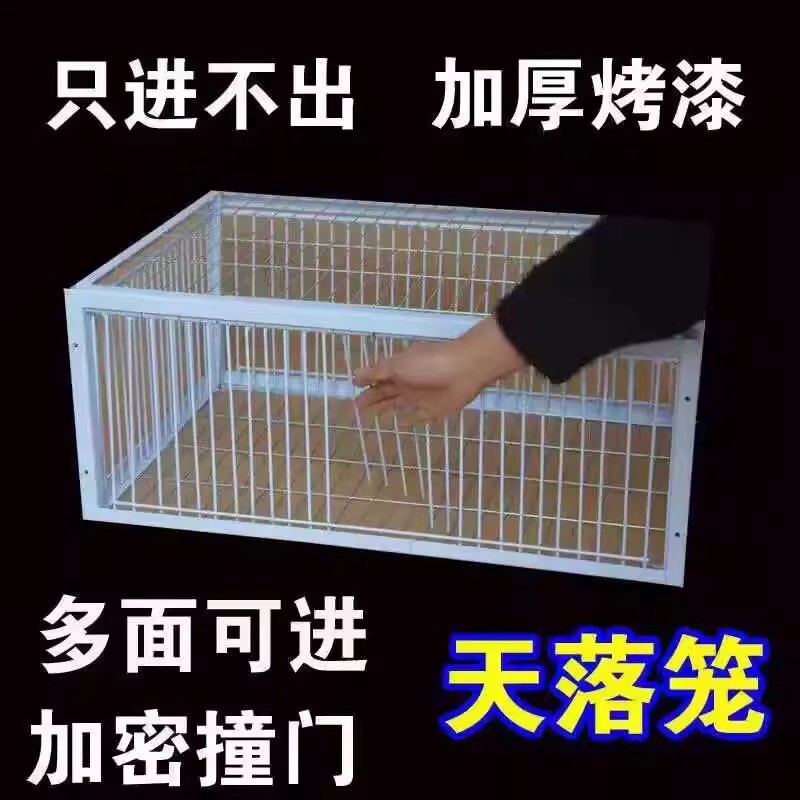 새덫 철제 조류 참새 포획 용품 철장 비둘기망 트랩 60x40x26 - 상세 이미지 5