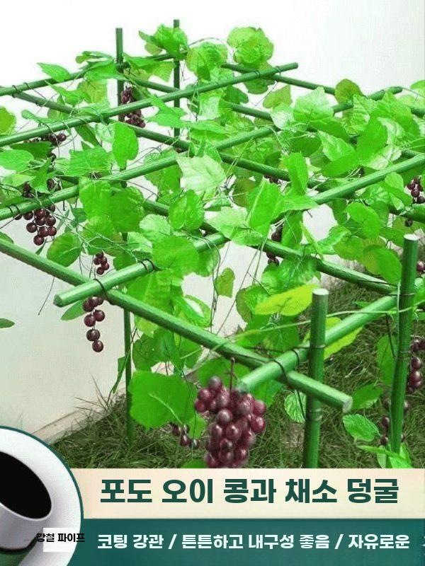 식물 지주대 지지대 파이프 오이 가든 넝쿨 철제 덩굴 0.9mx0.9mx0.9m 플라스틱 코팅 강관 - 상세 이미지 4