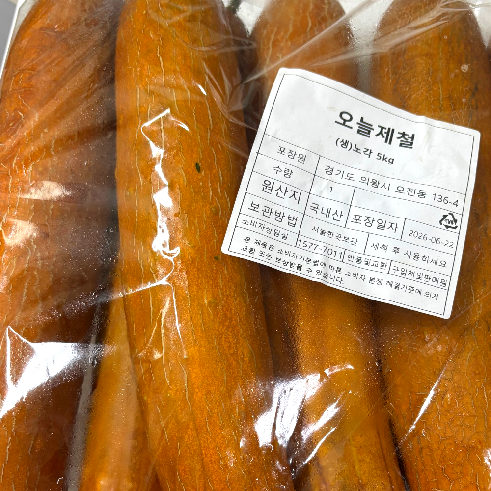 노각 오이 국산 늙은오이 노각 무침 요리용 26년 햇 7월 2kg, 1개 - 상세 이미지 5