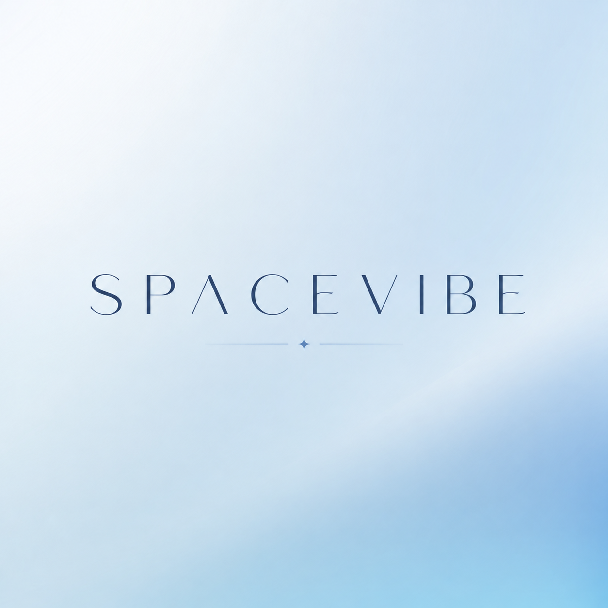 스페이스바이브 스토어 로고