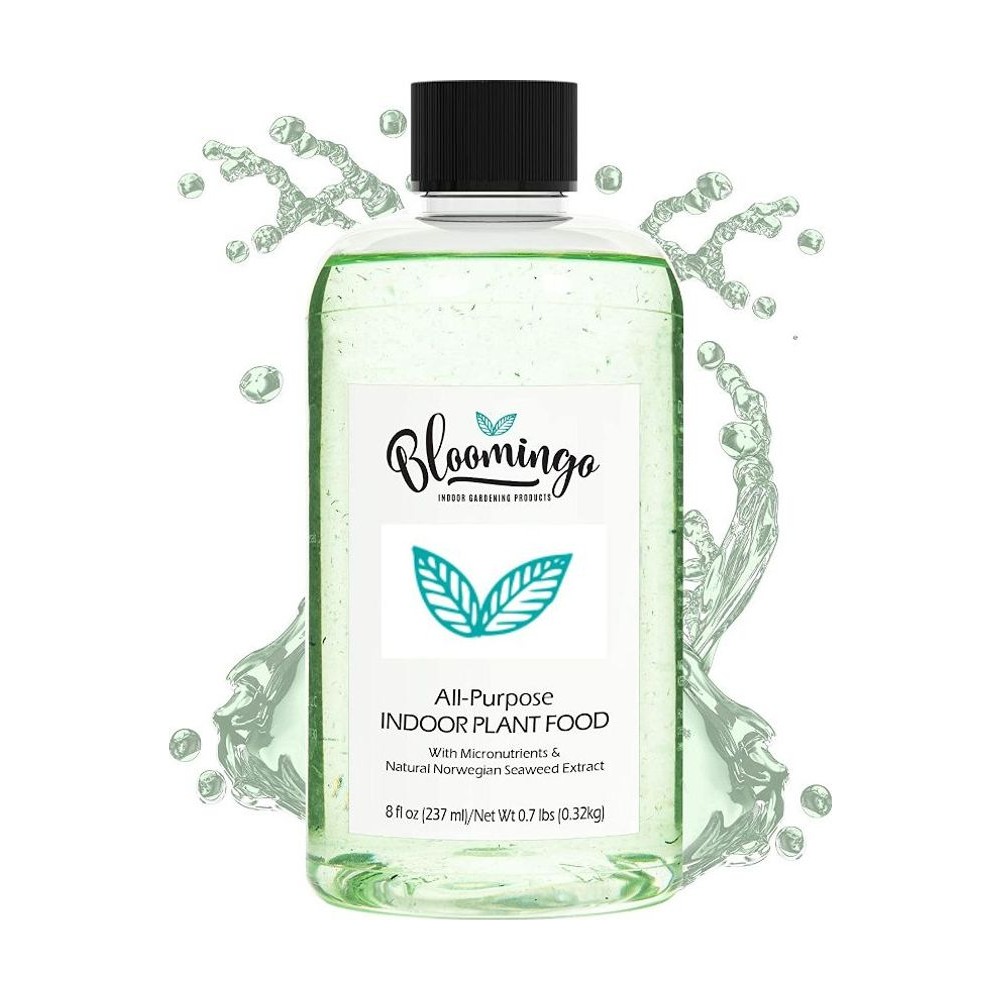 Bloomingo Jungle Juice 236ml 개화 액&hellip;