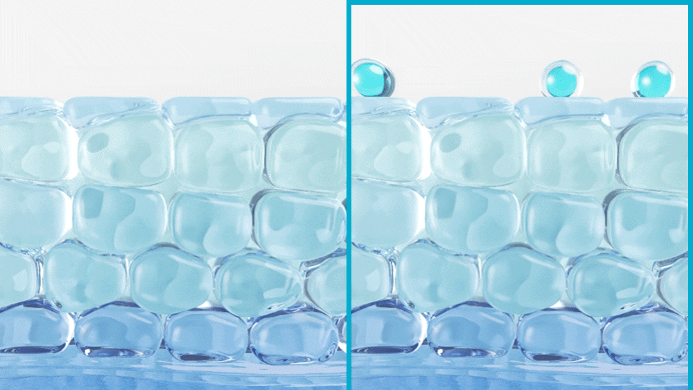 ampoule concentrée agave bleu coréen