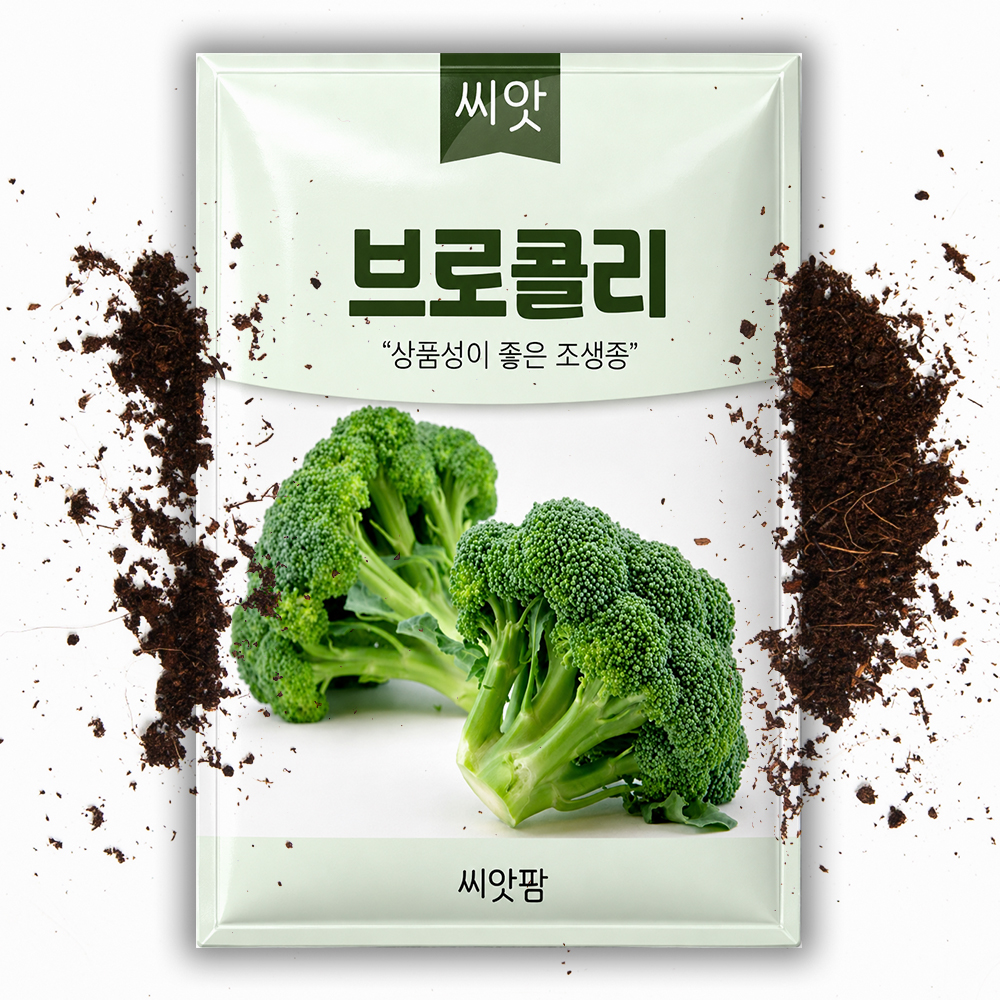 브로콜리 씨앗 100립 브로콜리씨 채소 종자 - 상품 이미지
