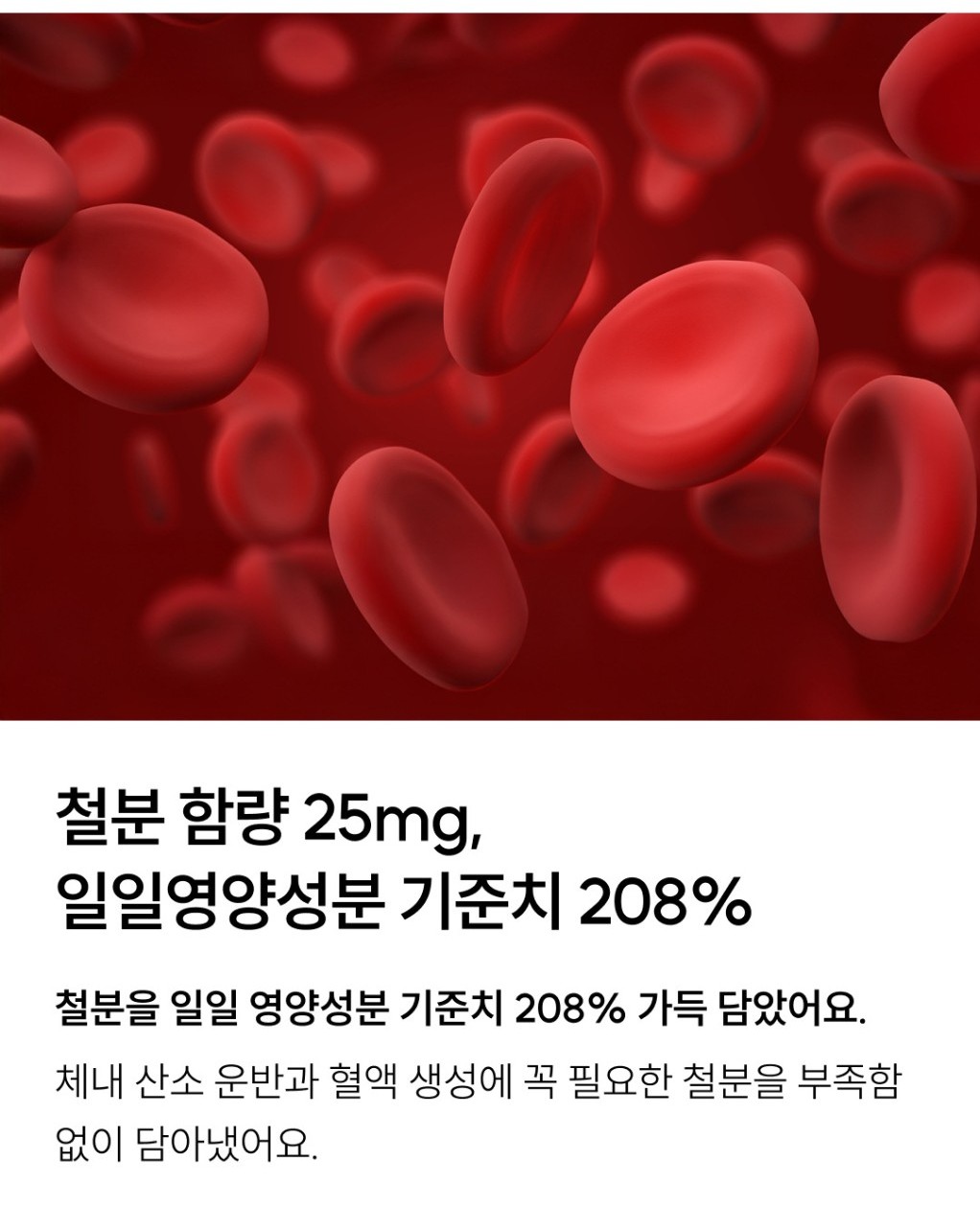 와이즐리 철분 25 60정, 3개 - 상세 이미지 5
