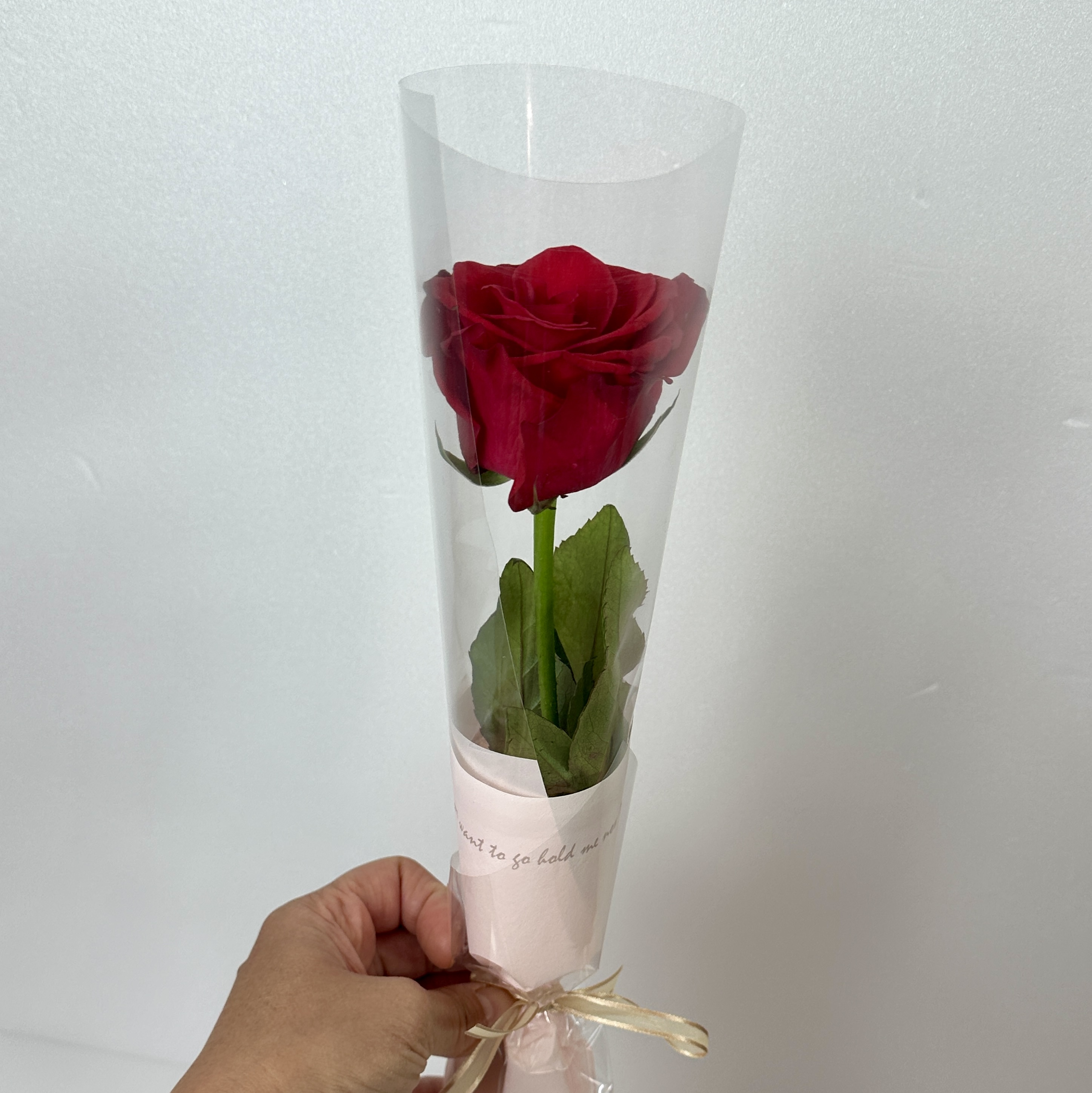 희록플라워 한송이 꽃 생화 카네이션 장미 한송이포장 단체 꽃다발 행사 답례품 선물 꽃배달 이미지 7