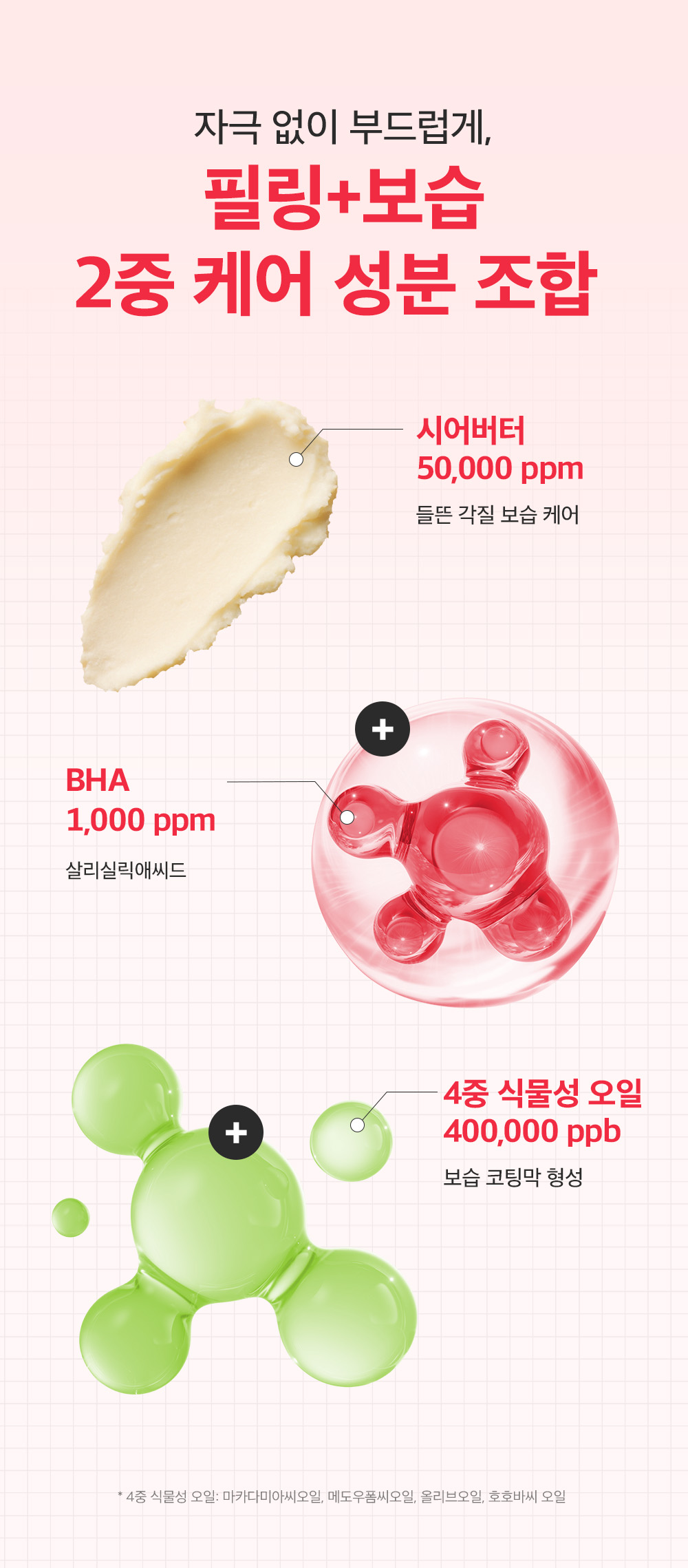 sungboon editor shea butter foot care