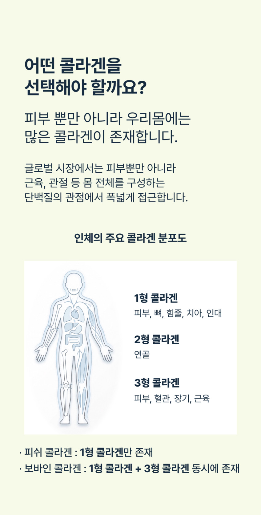 프랑스 저분자 콜라겐 비트셀 어린 트리 펩타이드 소 피쉬 먹는 콜라겐 156g, 1개 판매처 상세 정보 이미지 4